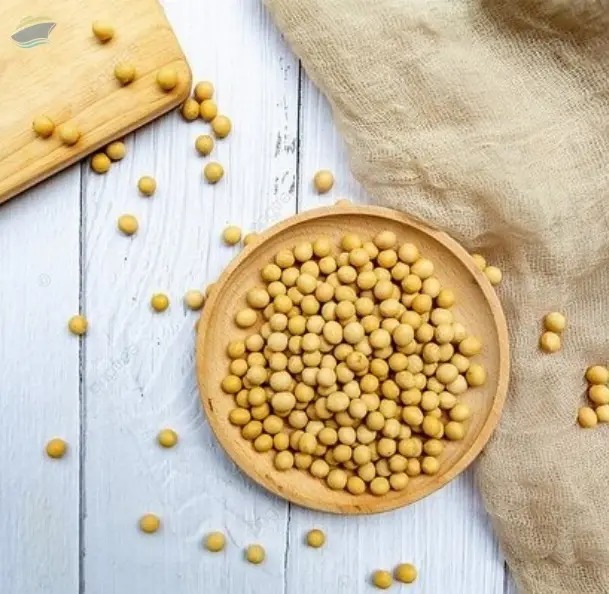 Soybean Gmo-non Gmo
