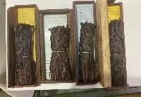 Fresh Vanilla - Madagascar