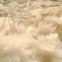 Merino Wool, Mixed Wool