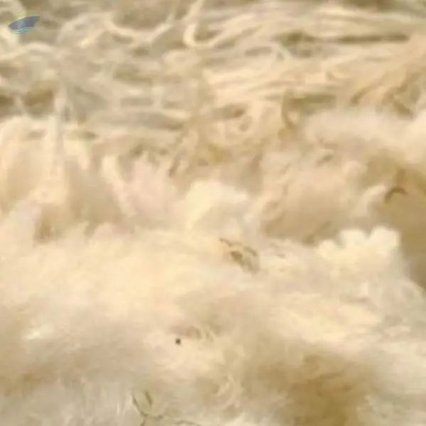 Merino Wool, Mixed Wool