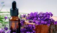 Lavender Oil