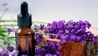 Lavender Oil