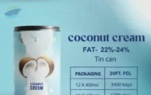Coconut Cream