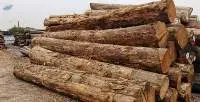 Bennin Teak Logs