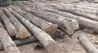 Nigeria Teak Wood
