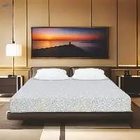 Doctor Mattrezz Spinetech Memory Foam Mattress