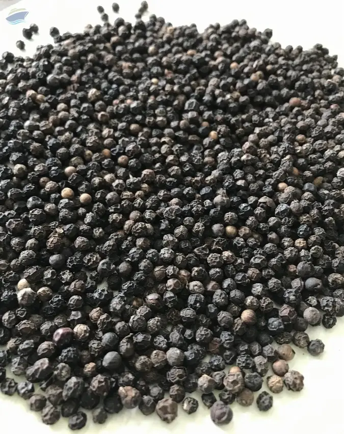 Black pepper
