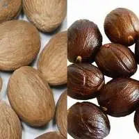 Nutmeg