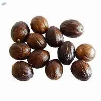 Nutmeg with shell