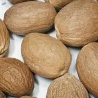 Nutmeg Without Shell