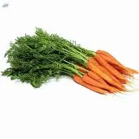 Carrot and Baby Carrot