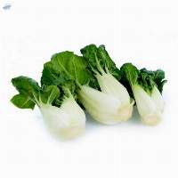 Bok Choy