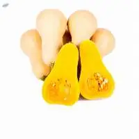 Batter nut squas