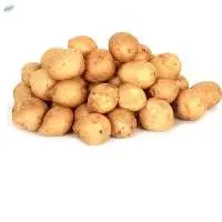 Potatoes and Baby Potatoes