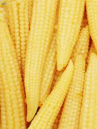 Baby Corn