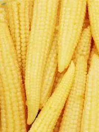 Baby Corn