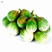 Eggplant pea