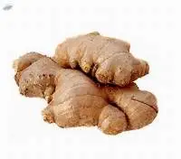 Ginger