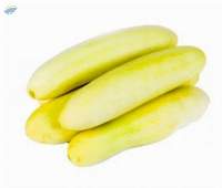 Cucumber yellow