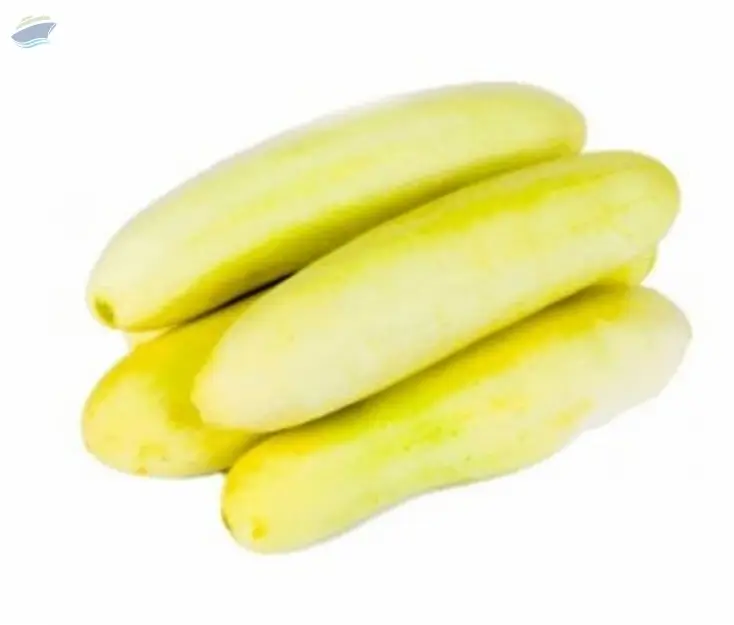 Cucumber yellow