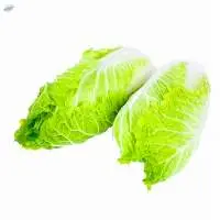 Chinese Cabbage