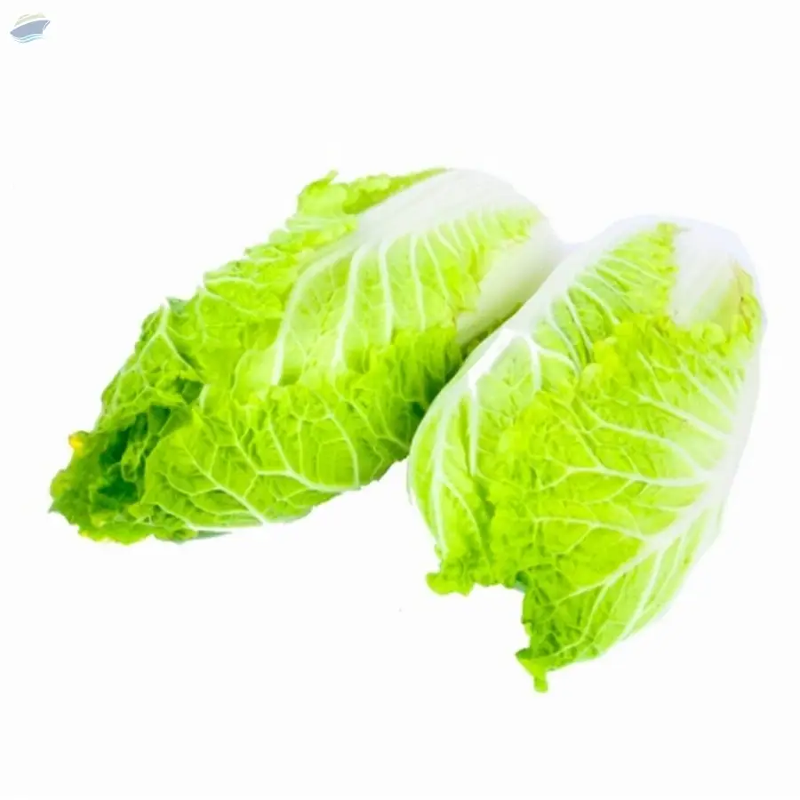 Chinese Cabbage