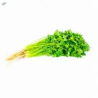 Celery