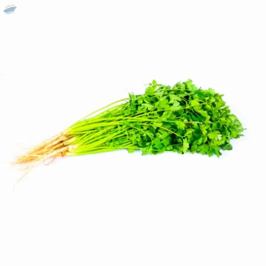 Celery