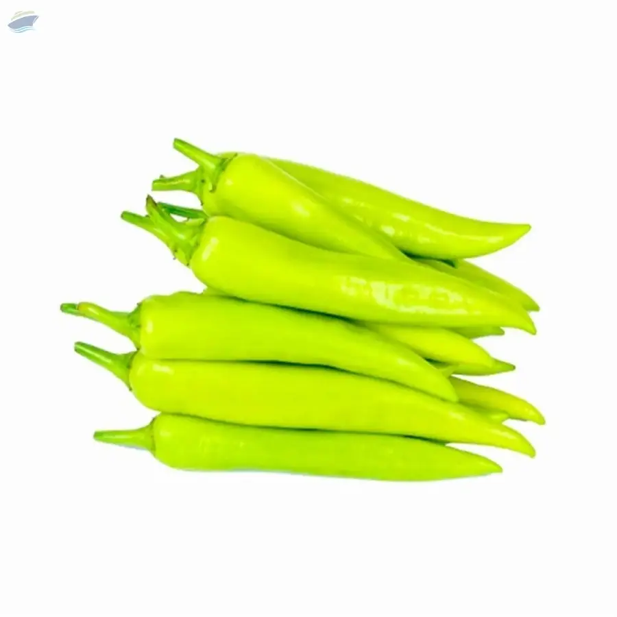 Capsicum Green by AMI Lanka (Pvt) Limited. Supplier from Sri Lanka