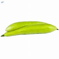 Bottle Gourd