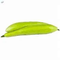 Bottle Gourd