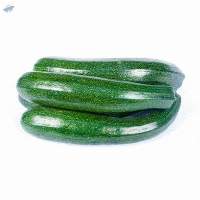 Zucchini
