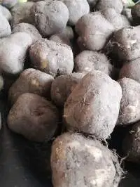 Innala