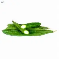 Sponge Gourd Lufa