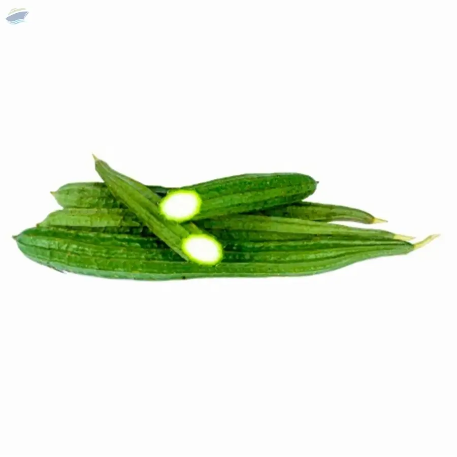 Sponge Gourd Lufa