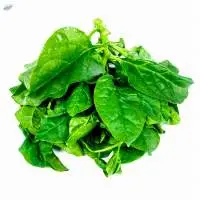 Spinach