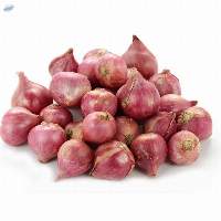 Red Onion Shallot