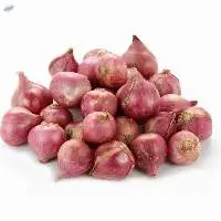 Red Onion Shallot