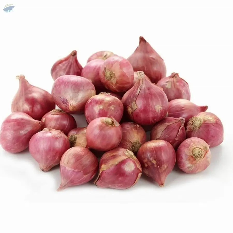 Red Onion Shallot