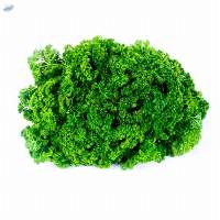 Parsley