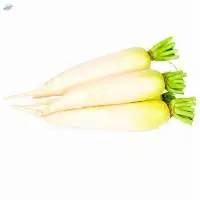 Radish