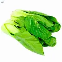 Pockchoy