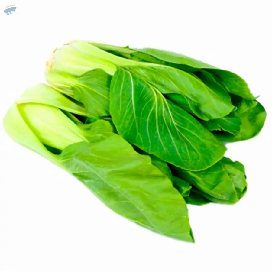 Pockchoy