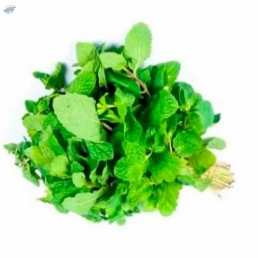 Mint Leaves