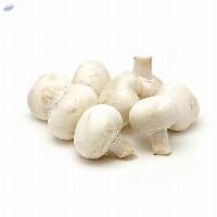 Mushroom Button