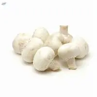 Mushroom Button