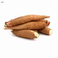 Manioc