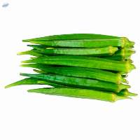 Ladies Finger Okra