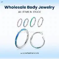 Wholesale Titanium G23 Hinged Segment Ring