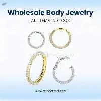 Wholesale Titanium Hinged Segment Ring